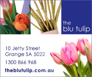 The Blu Tulip